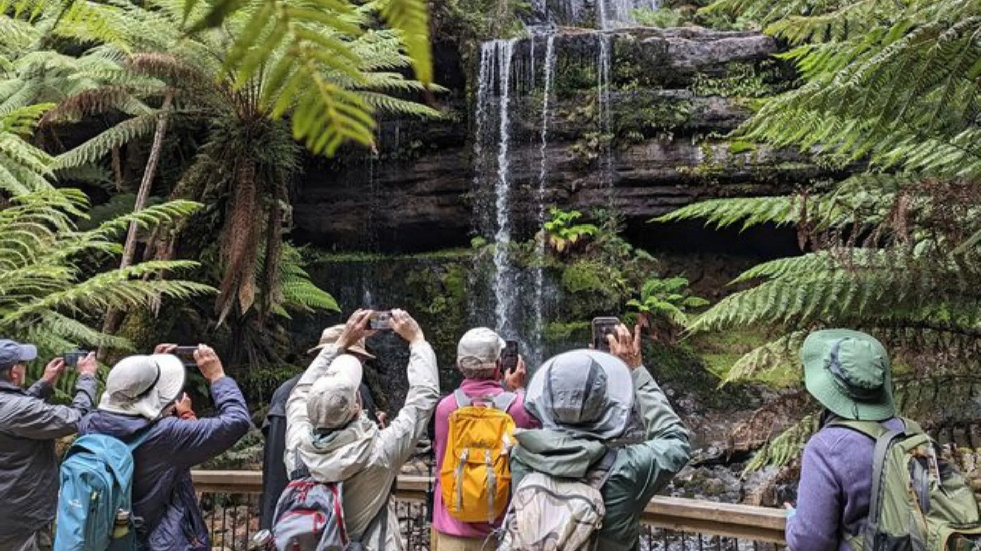 Nat Hab's Ultimate Australia Safari: An Unforgettable Journey
